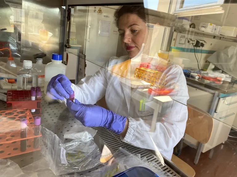 A UNIMORE researcher at work during the COVID-19 immune-profiling effort